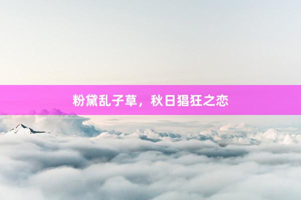 粉黛乱子草，秋日猖狂之恋